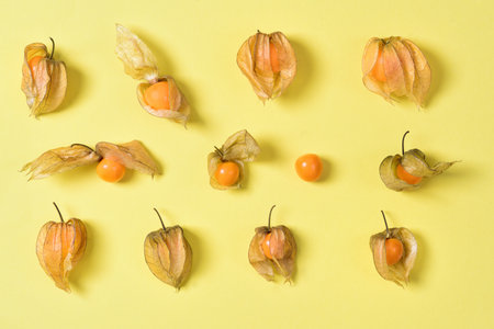 Several ripe physalis (Cape gooseberries) lie next to each other and form a texture against a yellow backgroundの写真素材