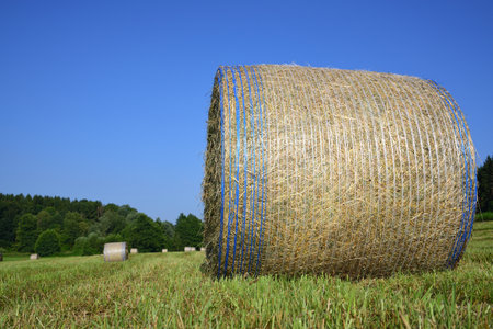 A round bale of hay on a freshly mown meadow against a blue sky