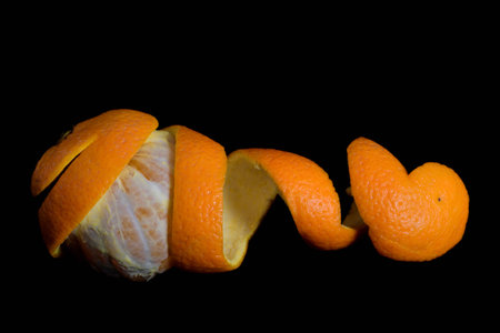 Close-up of a freshly peeled orange lying with the curly peel in front of a dark backgroundの写真素材