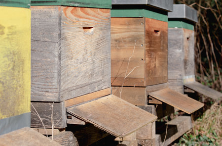 Several wooden apiaries stand next to each other outdoors in winterの写真素材