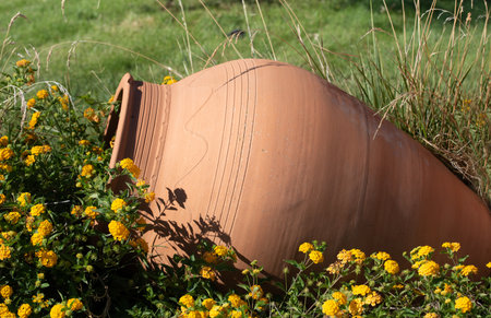 Close-up of a large clay jar lying in the middle of a bed of small yellow flowers against a green background in nature.の写真素材