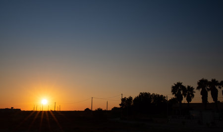 Sunset in Sicily. The sky turns from blue to orange. The sun's rays shine. Palms and other trees provide shade between power cables and pylons.の写真素材