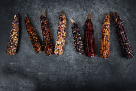 Several colorful corncobs lie next to each other. The background is gray with wood pattern and dark....