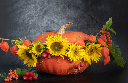 A large red Hokkaido pumpkin is decorated with sunflowers and Chinese lanterns against a dark backgroundの写真素材