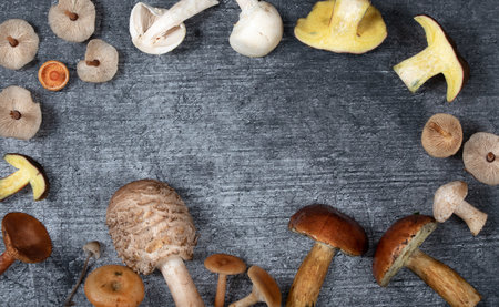 Various mushrooms form a frame around a slab of stone. In the middle is space for text. The mushrooms are partially cut open.の写真素材