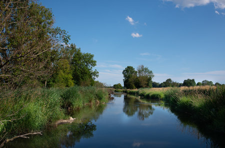 The sky is reflected in a narrow calm river. In summer, green meadows line the water and there are trees on the shore.の写真素材