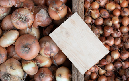 Onions are for sale in various boxes. The bulbs are sorted by size. A blank sign on wood serves as a place for text. The focus is on the wooden shield.の写真素材
