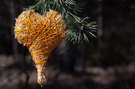 A homemade straw heart wrapped in orange twine hangs from a pine branch. In the background the shadows of tree trunks in a forest. There is space for textの写真素材
