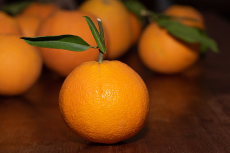 Several ripe oranges lie on a wooden table. The stalks and leaves are still attached to individual fruits. The orange peels are not treated.の写真素材