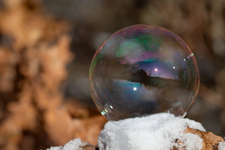 Close-up of a large soap bubble lying on cold snow. In the background are brown autumn leaves. The horizon of a landscape is reflected in the bubble.の写真素材
