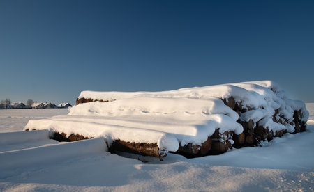 Long beams of firewood lie on white snow. The logs are covered with fresh snow. In the background, the horizon with a small village. The sky is blue.の写真素材