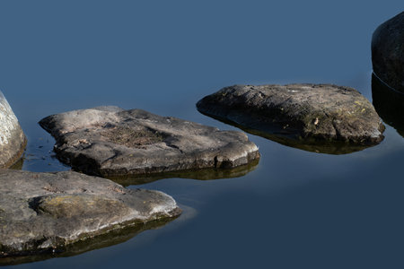 Stones in the water form a path across the water. You can walk on the stones.の写真素材