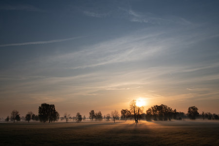 Landscape in Bavaria. The sun rises behind bare trees. There are soft clouds in the sky. Against the light, a tree casts a shadow on the earth.の写真素材