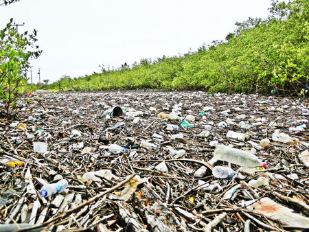 Rio garbage 