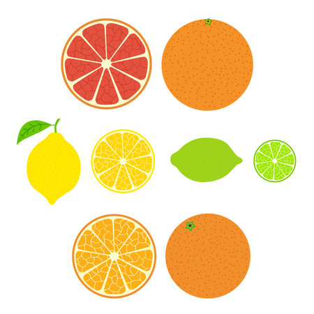 Collection of citrus. Slices of orange, lemon, lime and grapefruit, icons set, colorful isolated on white background, illustration.のイラスト素材