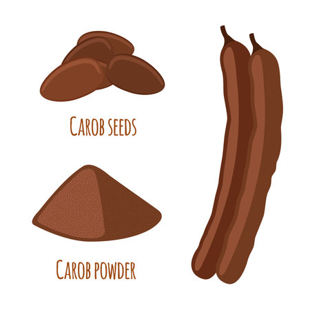 Carob pods, beans, powder. Superfood. Vegetarian decaffeinated food. Cartoon flat vector style.のイラスト素材
