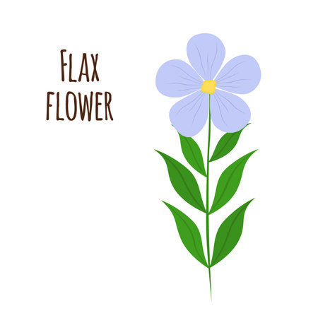 Flax flower and seeds. Vegetarian food, natural linen. Cartoon flat style.のイラスト素材