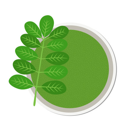 Moringa, vegetarian superfood. Healthy nutrition. Herb, vegetable, powder, tree in flowerpot. Cartoon flat vector style.のイラスト素材