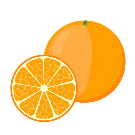 Orange in cartoon style. Fresh ripe exotic fruit. Vector flat illustration.のイラスト素材