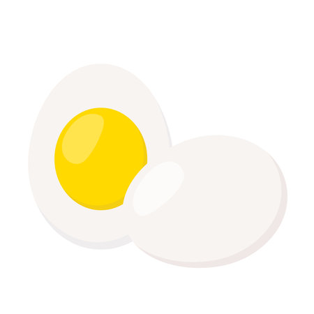 Eggs in cartoon flat style. Healthy protein nutrition. Fresh farm egg.のイラスト素材