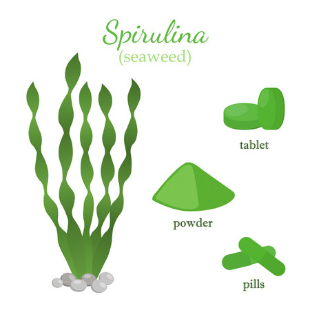 Seaweed - healthy spirulina. Green algae made in cartoon flat style. Vegetarian nutrition in pills, powder, tablets.のイラスト素材