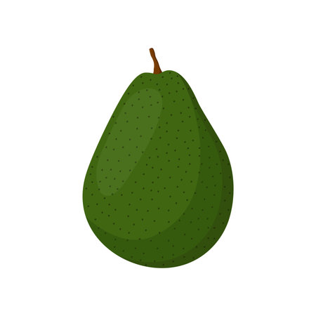 Avocado whole and slice. Tropical summer fruit. Made in cartoon flat styleのイラスト素材