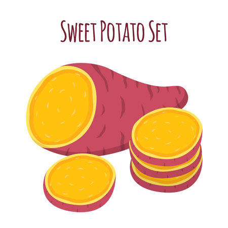 Brown batat, sweet potato. Organic healthy vegetable. Fresh natural root. Made in cartoon flat styleのイラスト素材