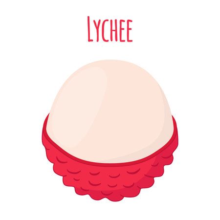 Pink lychee, tropical exotic fruit. Organic healthy nutrition - vegetarian lichee. Made in cartoon flat style. Vector illustrationのイラスト素材