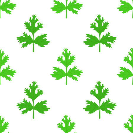 Coriander herb, chinese parsley seamless pattern. Green vegetarian spicy condiment. Made in cartoon flat style. Vector illustrationのイラスト素材