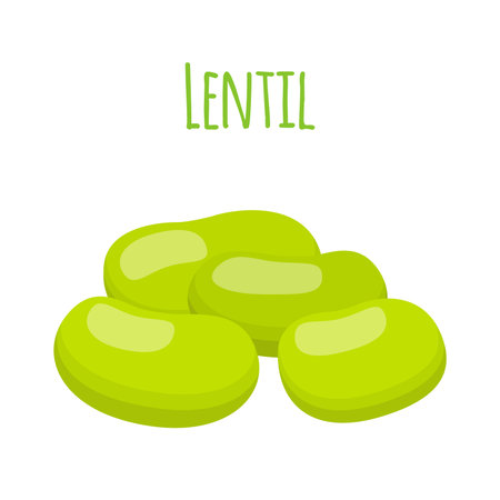 Legume plant, soybeans, lentil bean. Made in cartoon flat style. Vector illustration.のイラスト素材