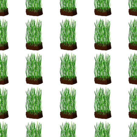 Barley grass and wheat seamless pattern on white background.のイラスト素材