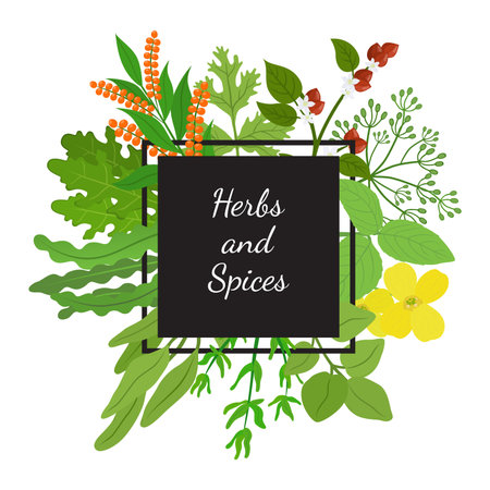 Herbs, spices arugula, mustard, basil, thyme, quinoa, buckwheat, dill. Made in cartoon flat style vector illustration.のイラスト素材