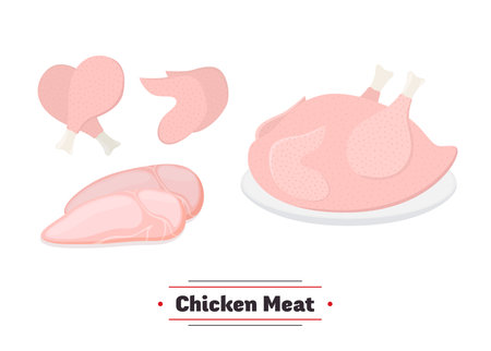 Vector set of chicken meat, whole turkey, legs, wings and breast part. Uncooked hen in cartoon flat style.のイラスト素材