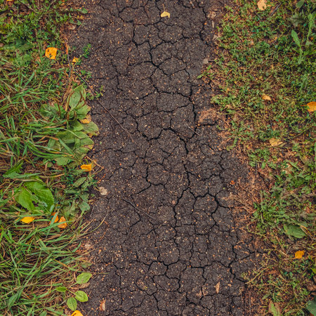 empty pathway between autumn leaves. Autumn fall scene. Conceptual image of dry earth and autumn...