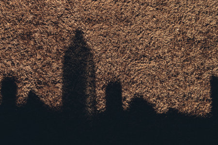The shadow of the bottles on the brown carpet is similar to the silhouette of a city with skyscrapers. Top viewの写真素材