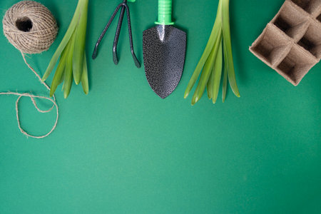 shovel, green seedlings, peat pots are intended for growing seedlings and scourges on a green background. backyard vegetable garden planting concept with copy space. Soft focus. Flat layの写真素材