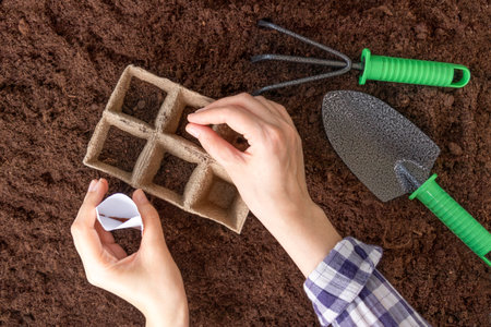 Female hands in a plaid shirt plant seeds in peat seedling pots. Garden tools shovel, rake on the...
