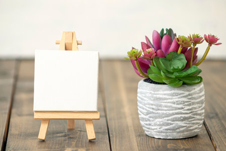 spring or summer composition on a wooden background. bright, beautiful red and green cactuses in a concrete planter near an empty molbert a wooden table.の写真素材