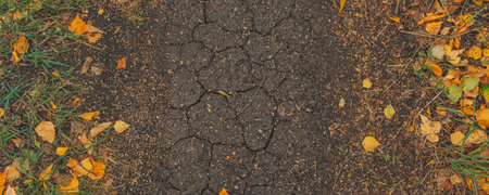 banner with Autumn fall scene. dry earth and autumn leaves. Lifestyle Top view. Copy space Flat lay
