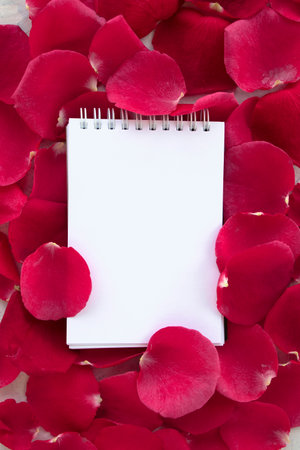 frame of red rose petals with blank notepad. flat lay. top view. mockup. copy space. minimalist styleの写真素材