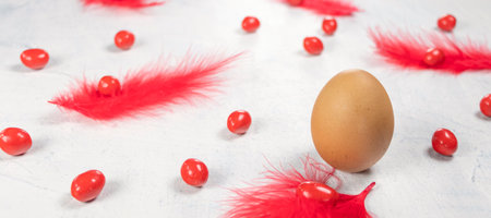 banner with one braun egg with red feathers and red chocolates in the shape of an egg on a white concrete background. Happy Easter concept. Soft focusの写真素材