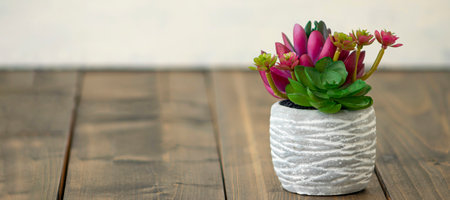 banner with blooming cactus in a concrete pot on a wooden background. indoor flower with place for text. soft focusの写真素材