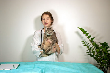 beautiful young female veterinarian holds gray cat in her arms. The pet was examined at a veterinary...