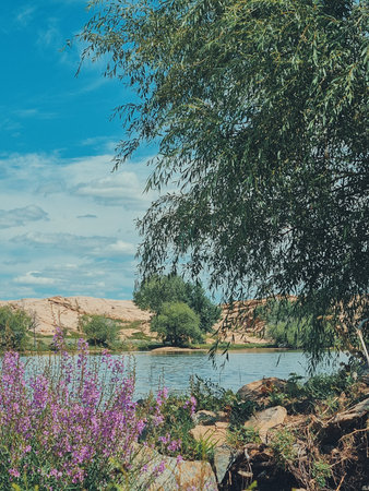 Vertical photo of a tranquil lake nestled among volcanic mountains, seen through lush green branches on a clear day.の写真素材
