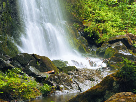 Waterfall in the forestのeditorial素材