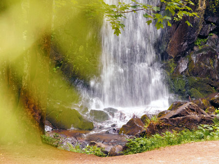 Waterfall in forestの写真素材