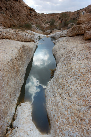 Winter in Negev desert.の写真素材
