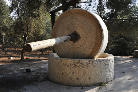 Stone wheel of old olive press.