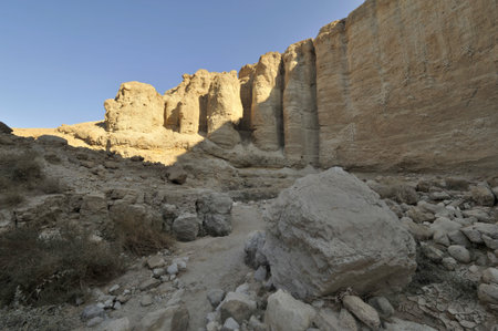 Judea desert in Israel.の写真素材