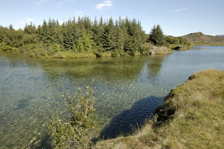 Myvatn lake, Iceland.の写真素材